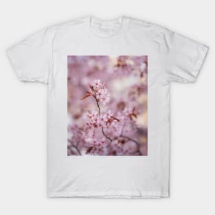 Beautiful flowering cherry tree close-up T-Shirt